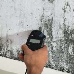 What Happens If a Survey Finds Damp? featured image